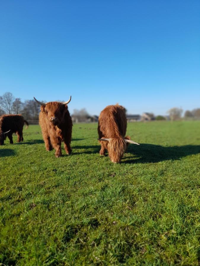Ferienwohnung Hannekenbuurs Kleine Kune Kune Farm Weeze Exterior foto